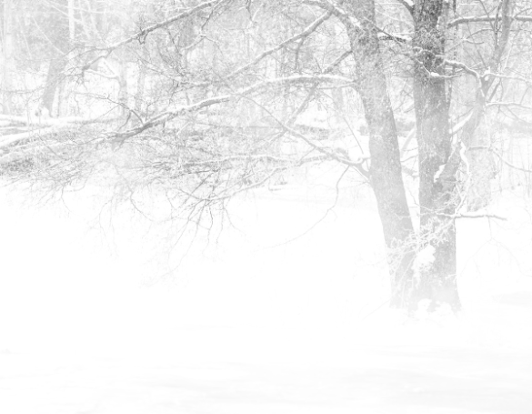 Suivi - Tempête hivernale