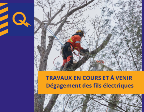 Hydro-Québec : Travaux de maitrise de la végétation