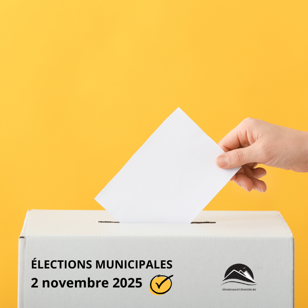 Élections municipales