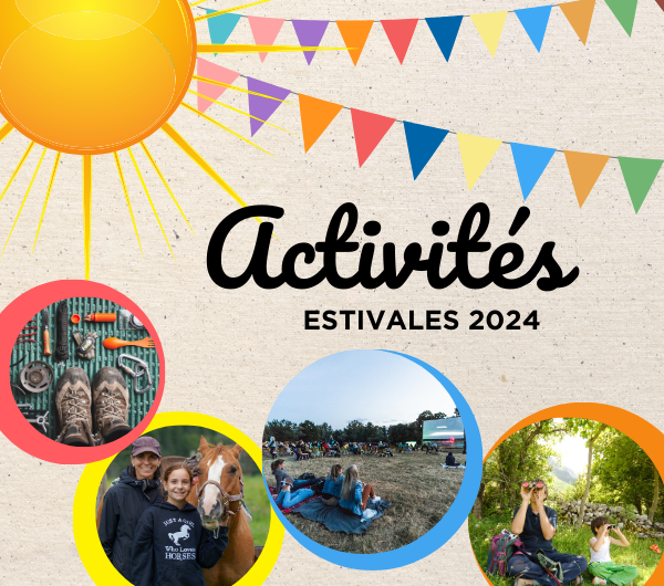 Activités estivales