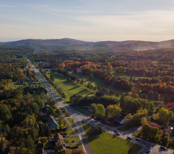 Portrait et statistiques