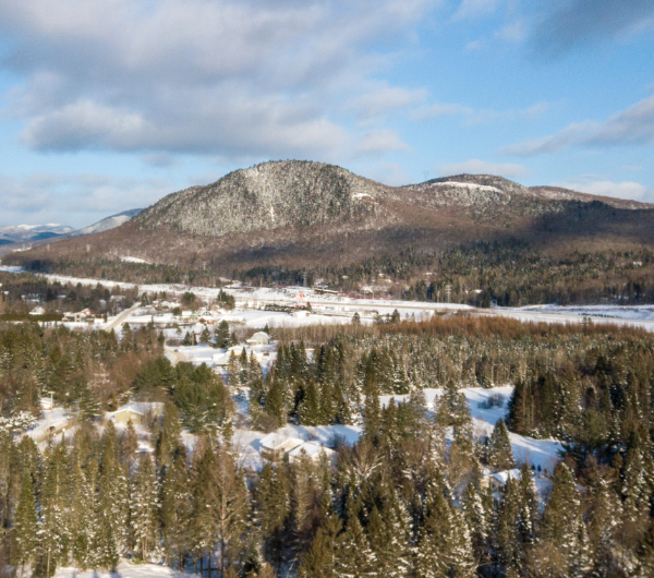 Parc de la forêt ancienne du Mont Wright
