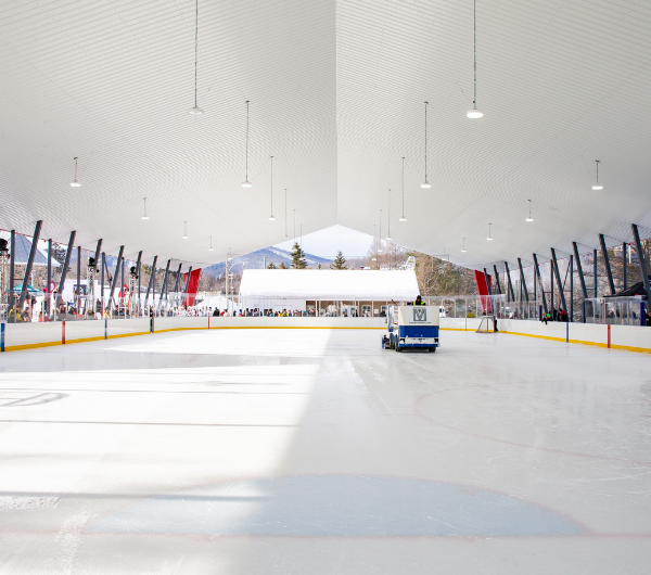 Patinoires et sports de glace en aréna